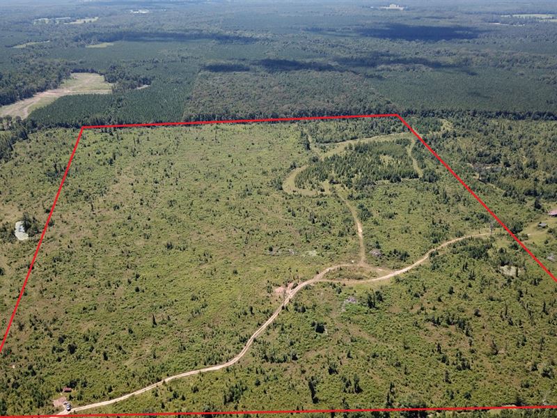 83 Acre Hunting Tract : Monticello : Drew County : Arkansas