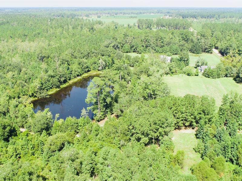 Pole Branch : Brooklet : Bulloch County : Georgia