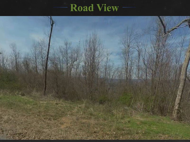 Trophy Buck Hunting, Ashville, AL : Ashville : Saint Clair County : Alabama