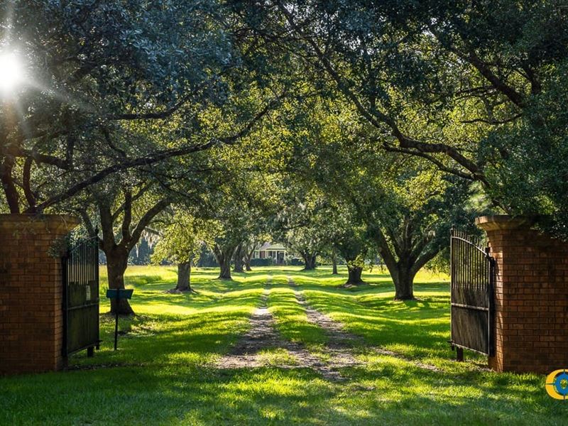 Pon Pon Plantation : Round O : Colleton County : South Carolina
