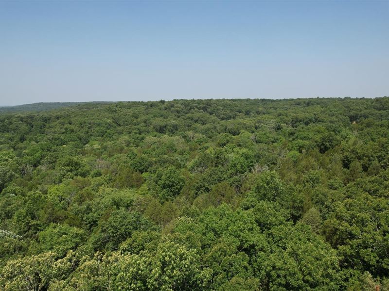 Bradley Mountain Tract 6 : Bonne Terre : Saint Francois County : Missouri
