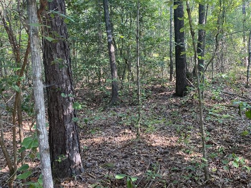 Prattville Land Great for Homesite : Prattville : Autauga County : Alabama