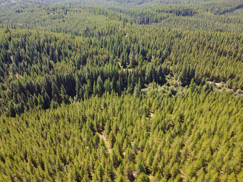 Houghton Creek Ranch Lot : Libby : Lincoln County : Montana