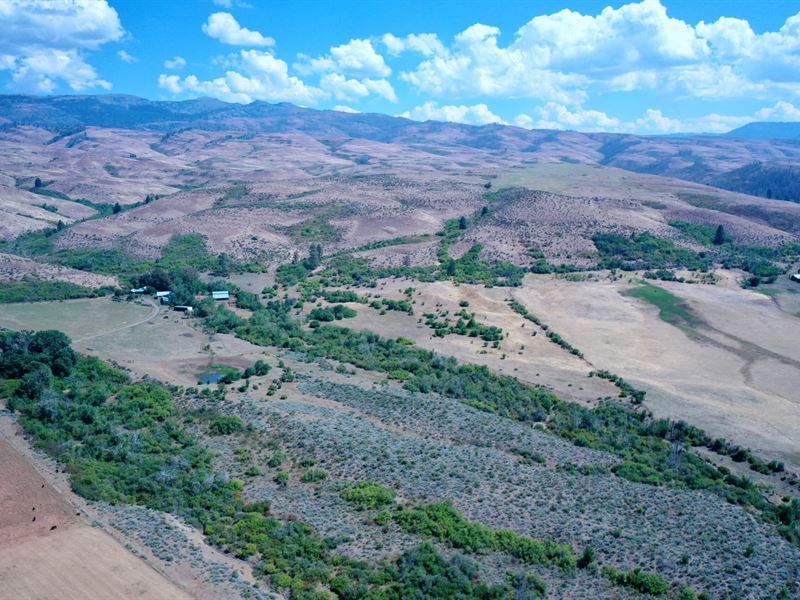 Lester Creek Ranch : Council : Adams County : Idaho