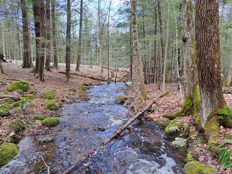 The Adirondack : Adirondack : Warren County : New York