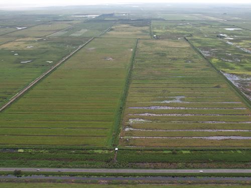 Denco Ranch : Lake Placid : Highlands County : Florida