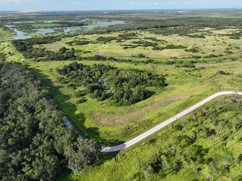 Agricola Acreage and Homesite : Fort Meade : Polk County : Florida
