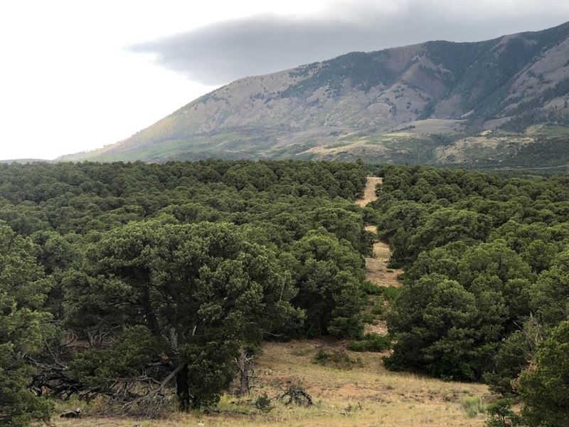 90 Cl&G Cc-1, Gardner, Co 81040 : Gardner : Huerfano County : Colorado
