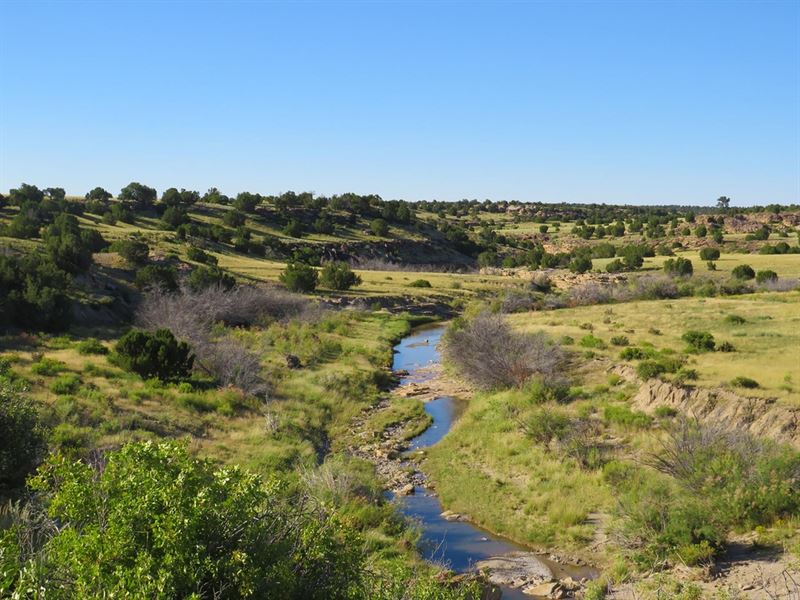 Bow and Arrow Ranch : Walsenburg : Las Animas County : Colorado