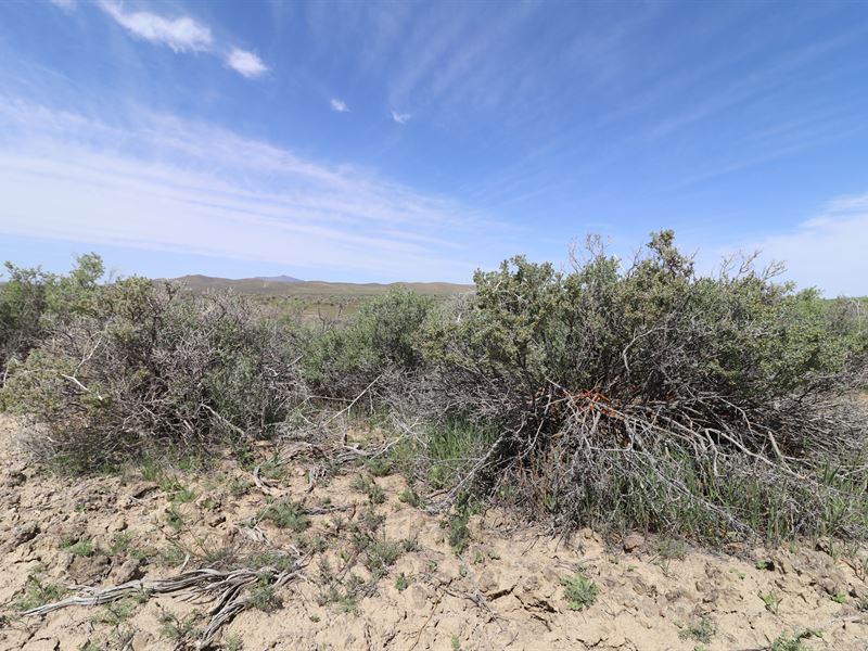 Escape to Beautiful Mountain Views : Valmy : Humboldt County : Nevada