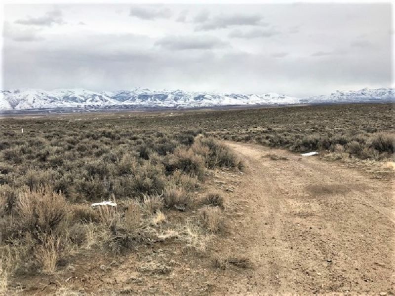 Discover Your Mountain Paradise : Elko : Elko County : Nevada