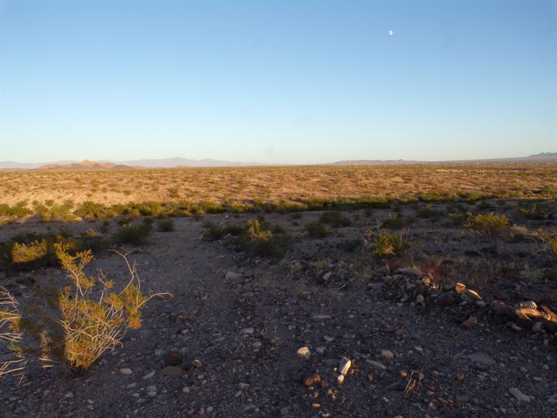 14 Acres Close to Lake Havasu : Powell : Mohave County : Arizona