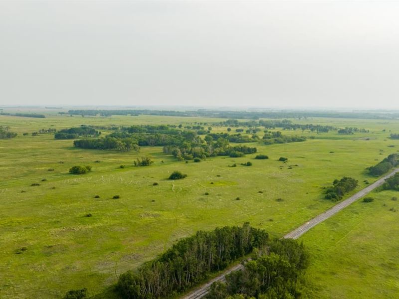 Bottineau County 154 Acres : Maxbass : Adams County : North Dakota