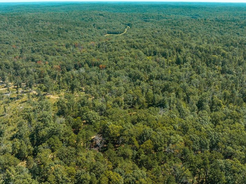 Possom Trot Hunting Oasis : Raymondville : Texas County : Missouri
