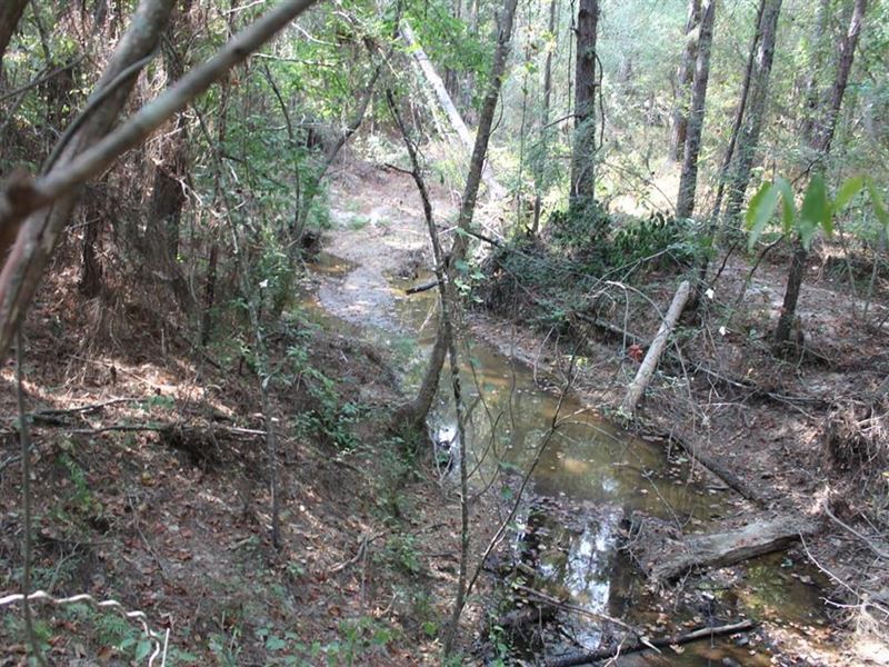 34.08 Acres on Posey Rd NW : Brookhaven : Lincoln County : Mississippi