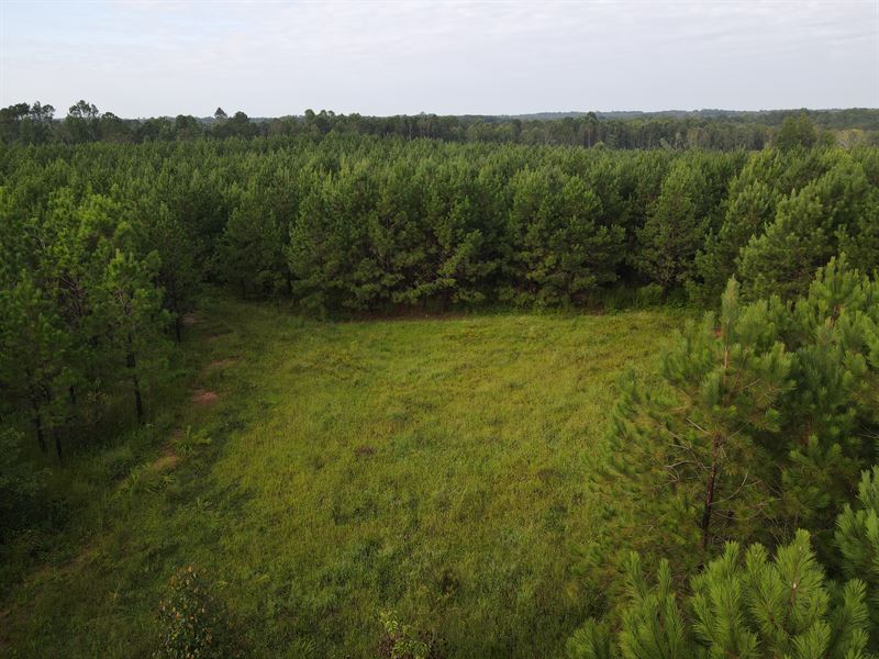 The Crystal Creek Property : Woodville : Oglethorpe County : Georgia
