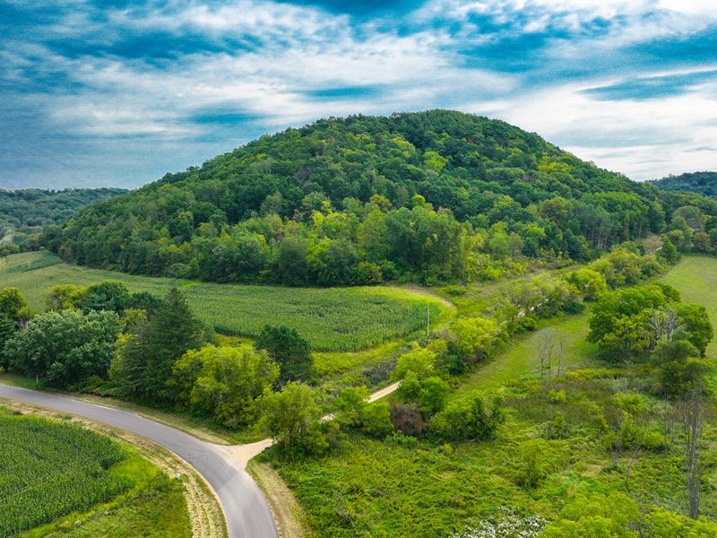 22 Acres Buffalo County : Nelson : Buffalo County : Wisconsin
