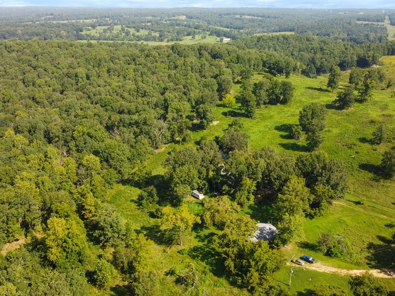 Earth Berm Home on 50 Acres : Caulfield : Howell County : Missouri