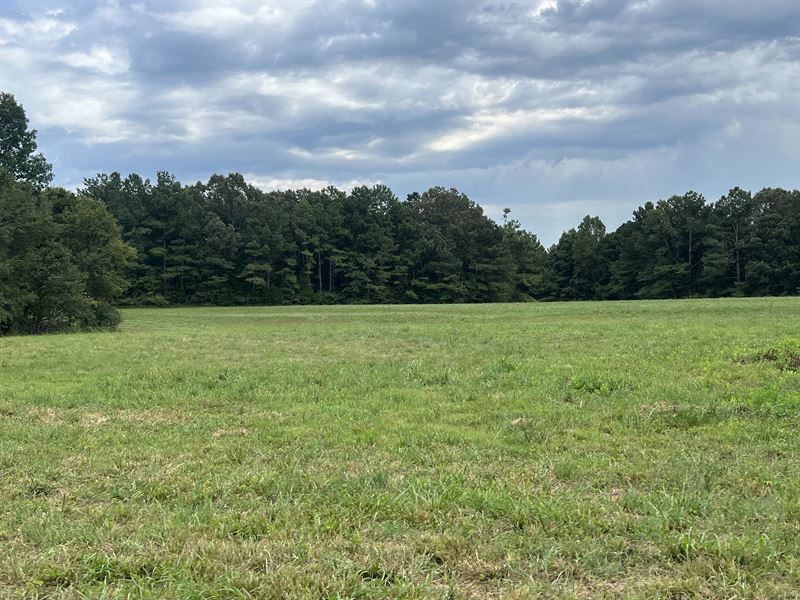 Beautiful Hunting Farm : Jackson : Madison County : Tennessee