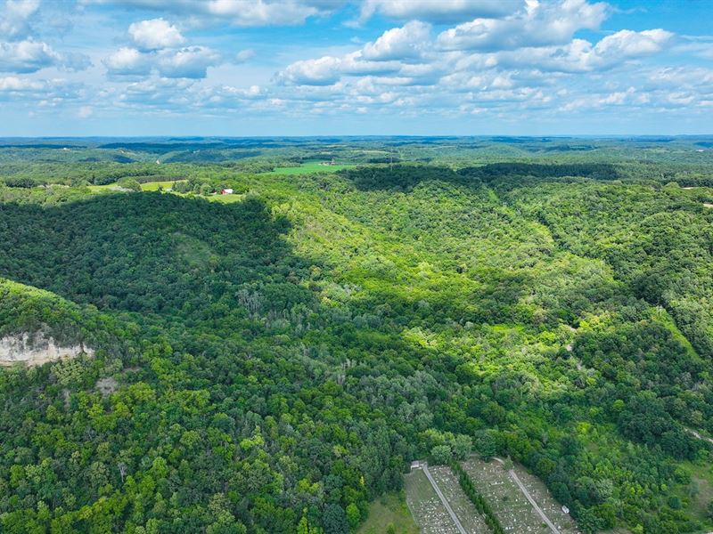 49.94 Acres Buffalo County : Nelson : Buffalo County : Wisconsin