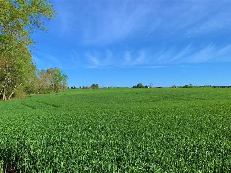 Ag Estate Lots 5 & 6, 31.35 Acres : Madison : Morgan County : Georgia