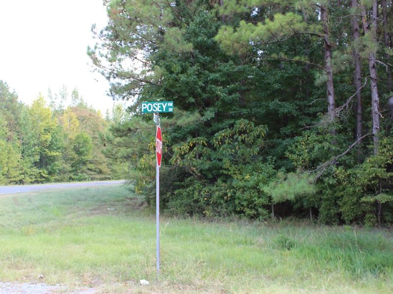 37.7 Acres Beautiful Timberland : Brookhaven : Lincoln County : Mississippi