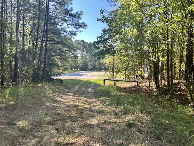 65.83 Acres Winston County, MS : Louisville : Winston County : Mississippi