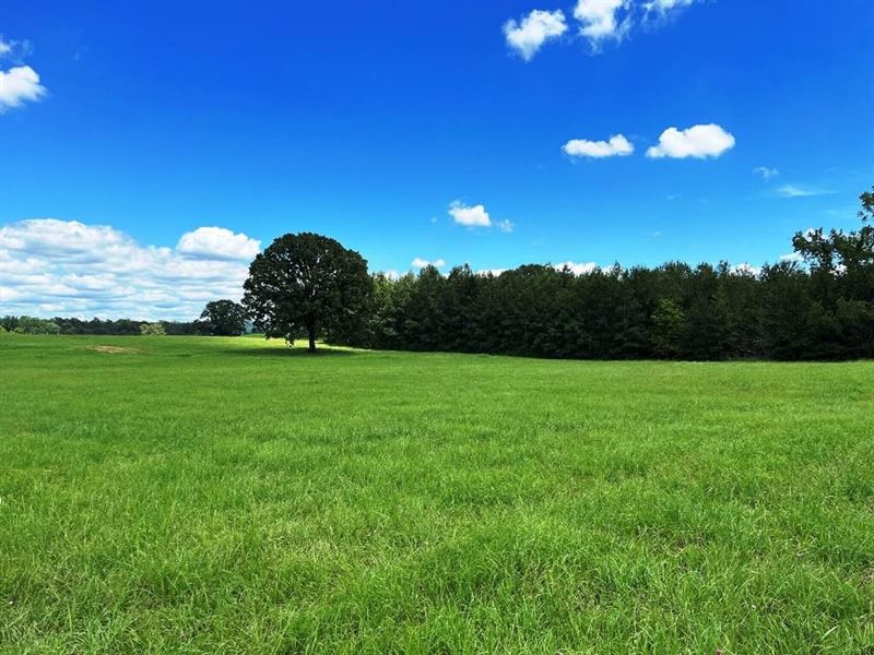 280 Acres Multi-Use Farm in Col : Tuscumbia : Colbert County : Alabama