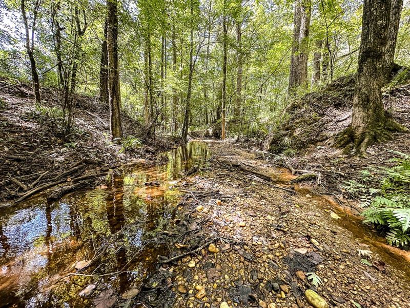 220 Acres of Great Hunting and Timb : Prattville : Autauga County : Alabama