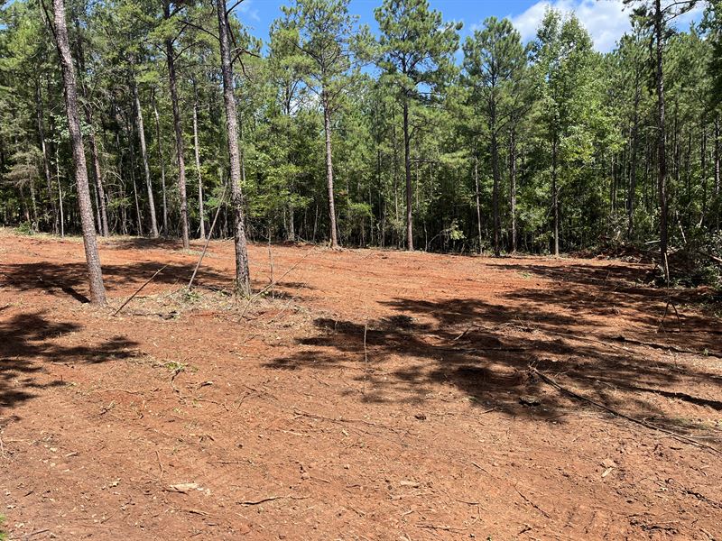 Alpine 40 Acres : Alpine : Talladega County : Alabama