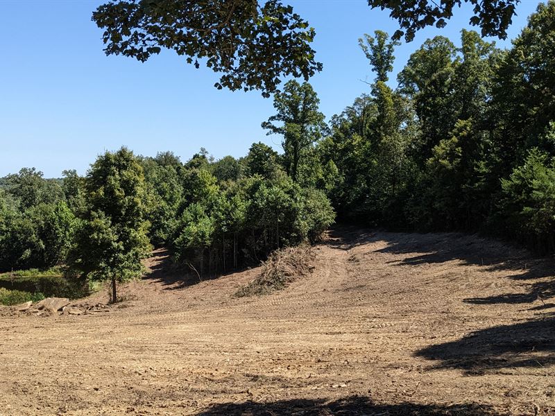 Meigs County, Ohio Hunting Land : Reedsville : Meigs County : Ohio
