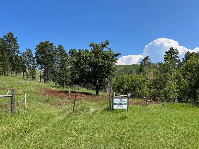Two Bit Creek 57 Acres Deadwood : Deadwood : Lawrence County : South Dakota