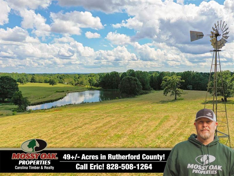 49 Acres of Established Farmland : Forest City : Rutherford County : North Carolina