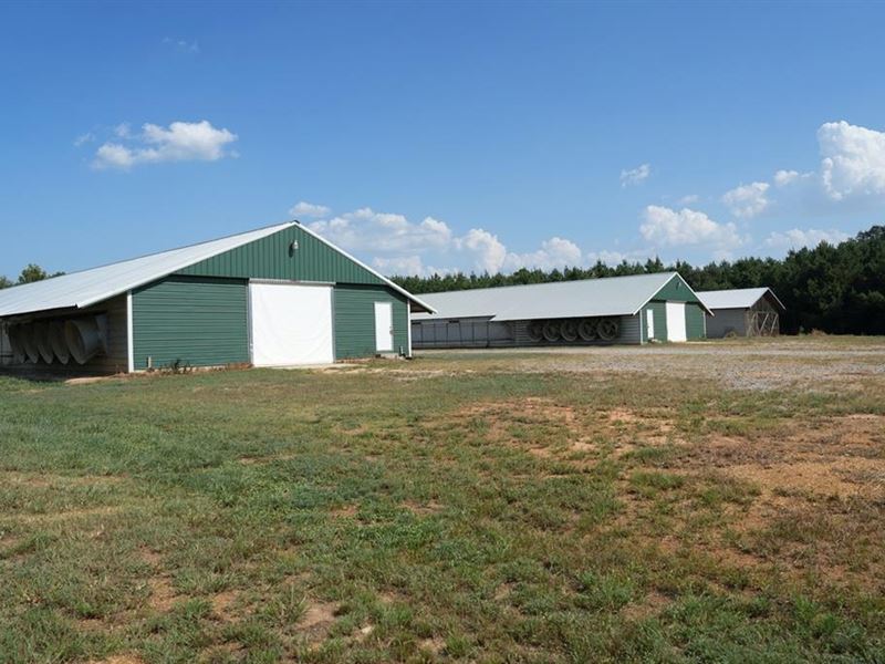 Newer 2 House Poultry Breeder Farm : Harperville : Scott County : Mississippi
