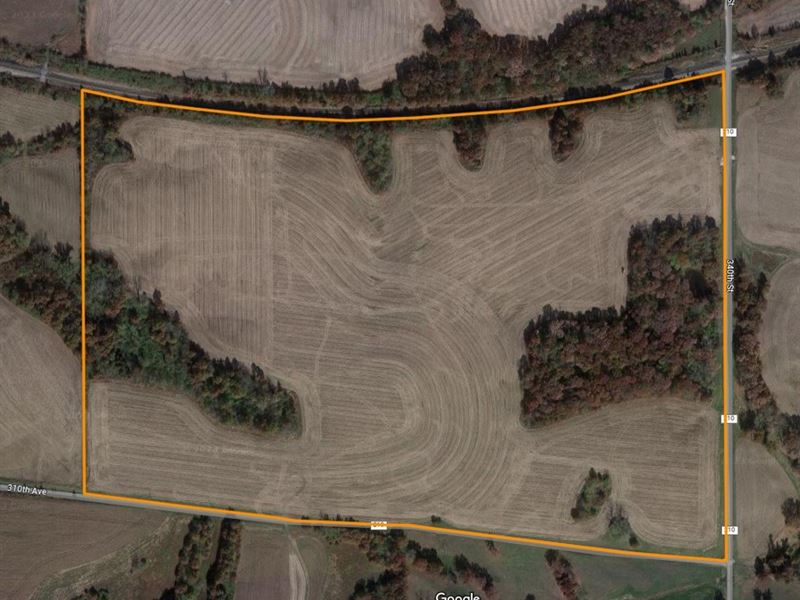 Great Tillable Farm : Baylis : Pike County : Illinois