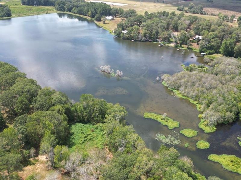 Lake Front Property 13 Acres Sw Mis : Summit : Pike County : Mississippi