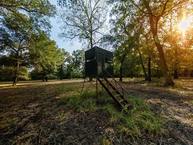 River Oats Ranch : Cooper : Delta County : Texas