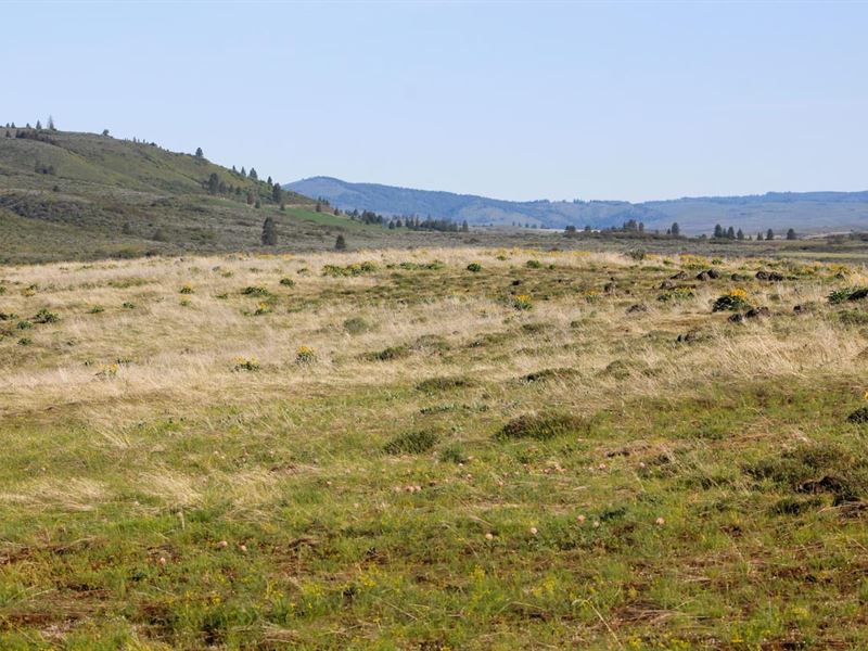 Trail Lane Lot 3 : Council : Adams County : Idaho
