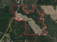 113 Acres With A Home In Covington : Taylorsville : Covington County : Mississippi