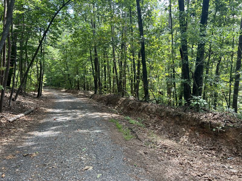Acreage with Creek on Bear Mountain : Ranger : Gordon County : Georgia
