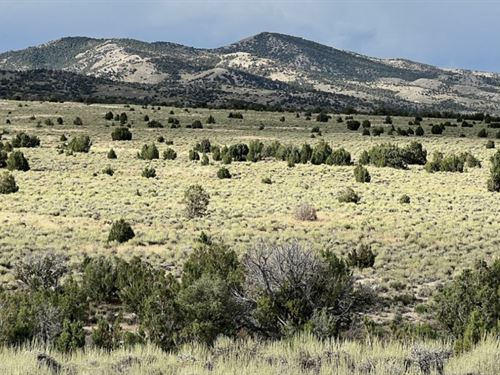 Your Slice of Paradise Awaits : Montello : Elko County : Nevada