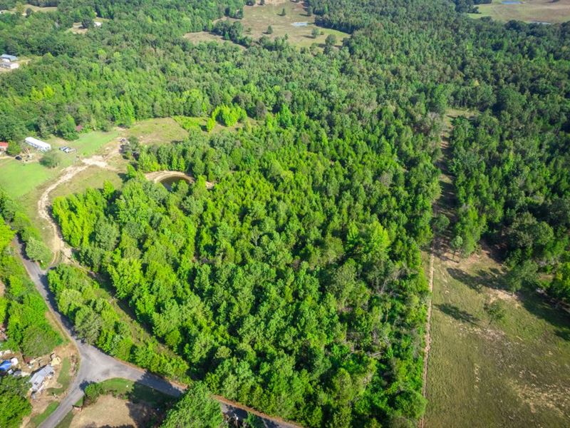 12 Acres in Guy, Arkansas : Guy : Faulkner County : Arkansas