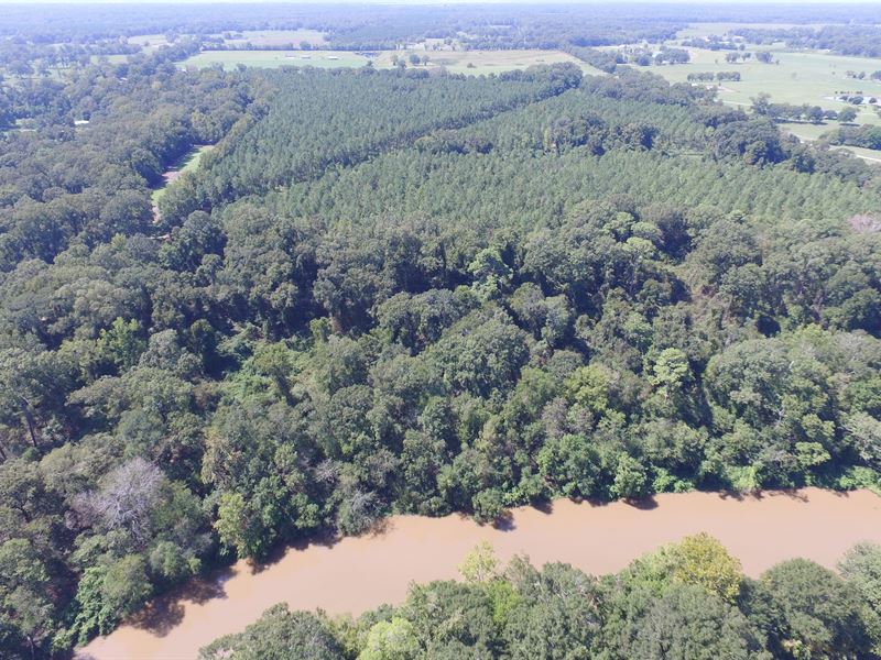 Arlington Rd Waterfront Property : Washington : Saint Landry Parish : Louisiana