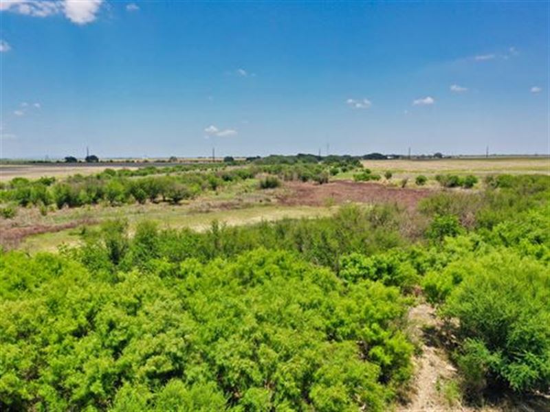 30 Acres for Sale San Antonio : D'hanis : Medina County : Texas