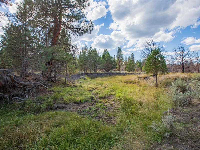 40.53 Acres in Beatty, Oregon : Beatty : Klamath County : Oregon
