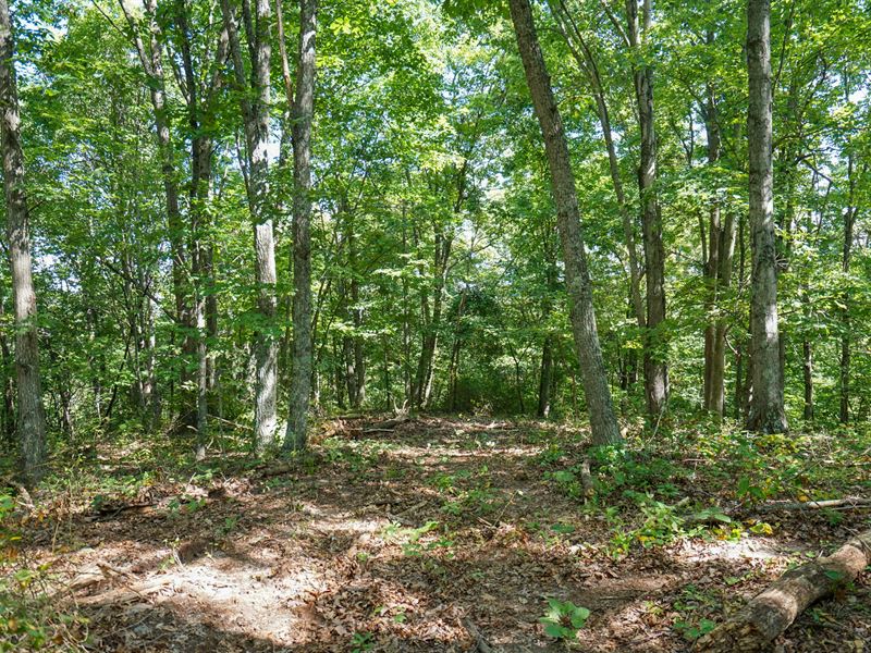 Gieke Rd 19 : Oak Hill : Jackson County : Ohio