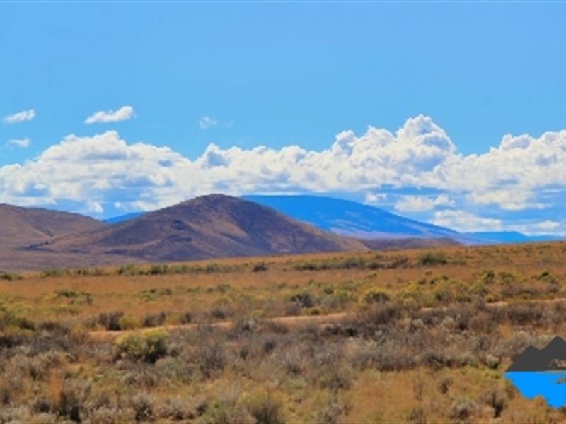 4 Adjoining Lots with Cell Service : Jaroso : Costilla County : Colorado