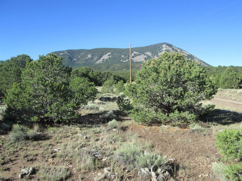 197 Cl&G Cc-2, Gardner, Co 8104 : Gardner : Huerfano County : Colorado