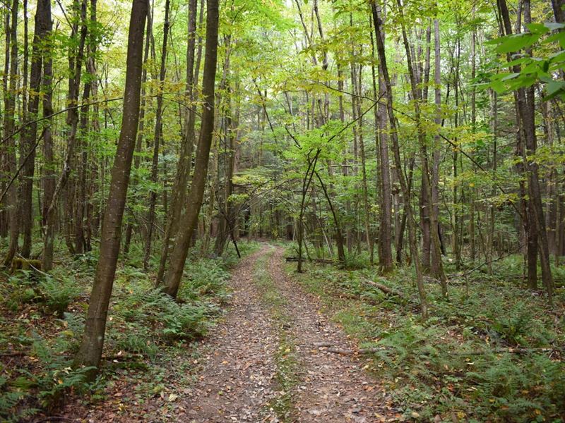 Davey Hill Hunt & Play : Pittsfield : Warren County : Pennsylvania