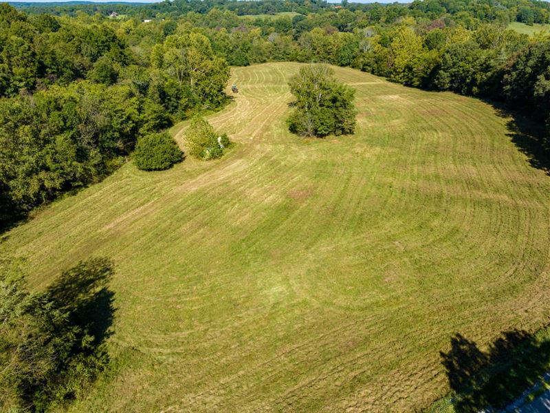 40 Acres, Prime Hunting Land : Maynard : Randolph County : Arkansas
